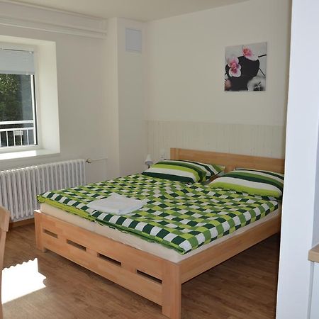 Penzion Havelka Apartmany Železná Ruda Extérieur photo