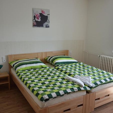 Penzion Havelka Apartmany Železná Ruda Extérieur photo