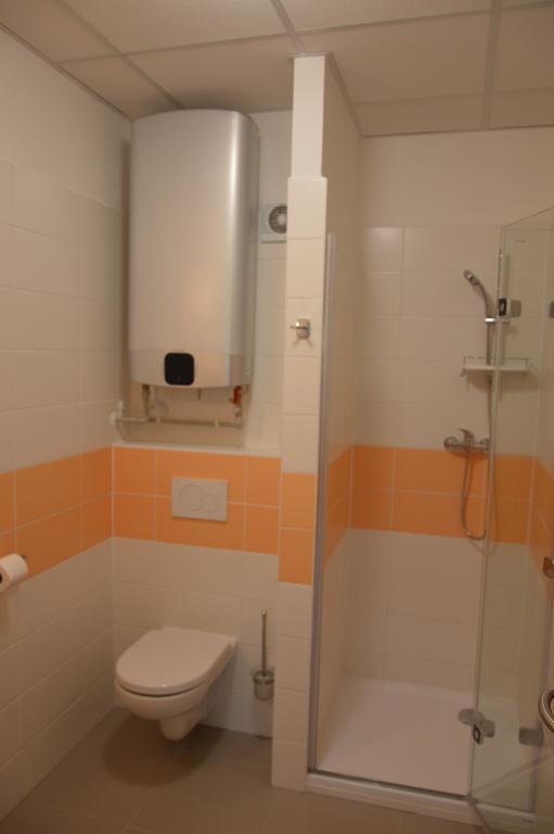 Penzion Havelka Apartmany Železná Ruda Extérieur photo